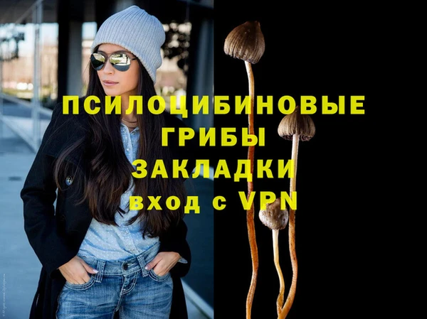 шишки Алзамай