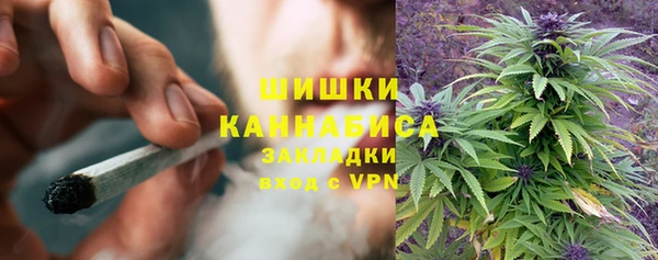 ГАЛЛЮЦИНОГЕННЫЕ ГРИБЫ Алексеевка