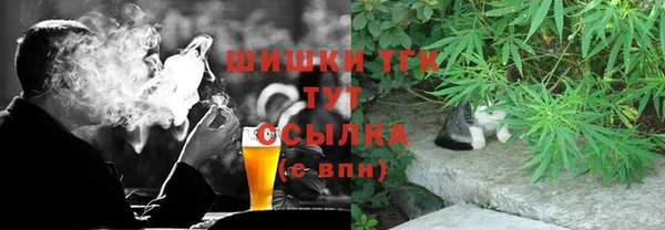 шишки Алзамай